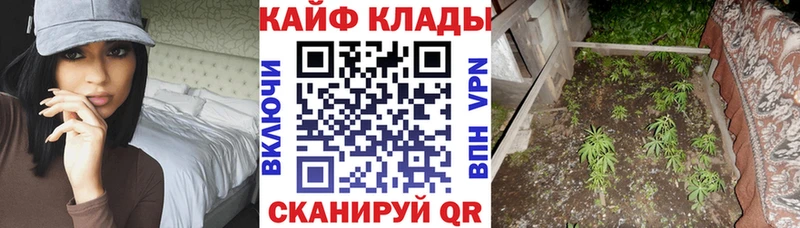 Купить наркотики цена Муравленко Alpha-PVP Кокаин Псилоцибиновые грибы Гашиш Меф мяу мяу