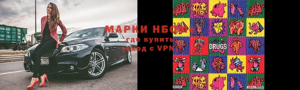 стафф Белокуриха