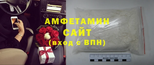 индика Богородск