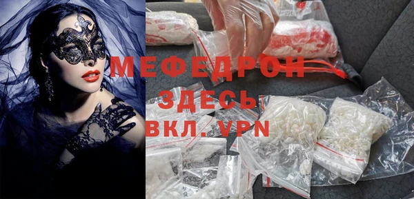 индика Богородск