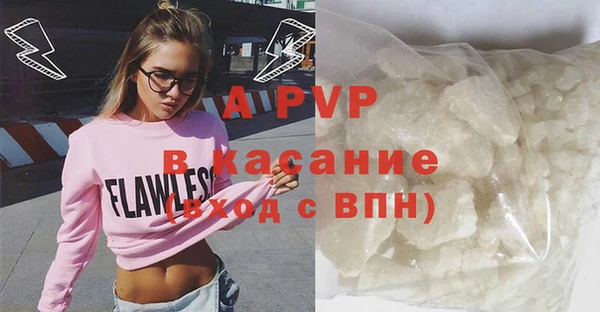 индика Богородск