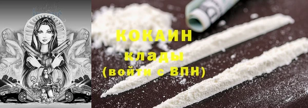 индика Богородск