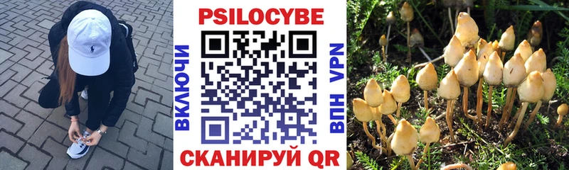 где купить наркоту Муравленко Галлюциногенные грибы прущие грибы